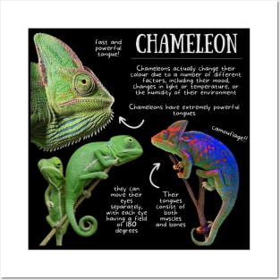 Animal Facts - Chameleon Posters and Art